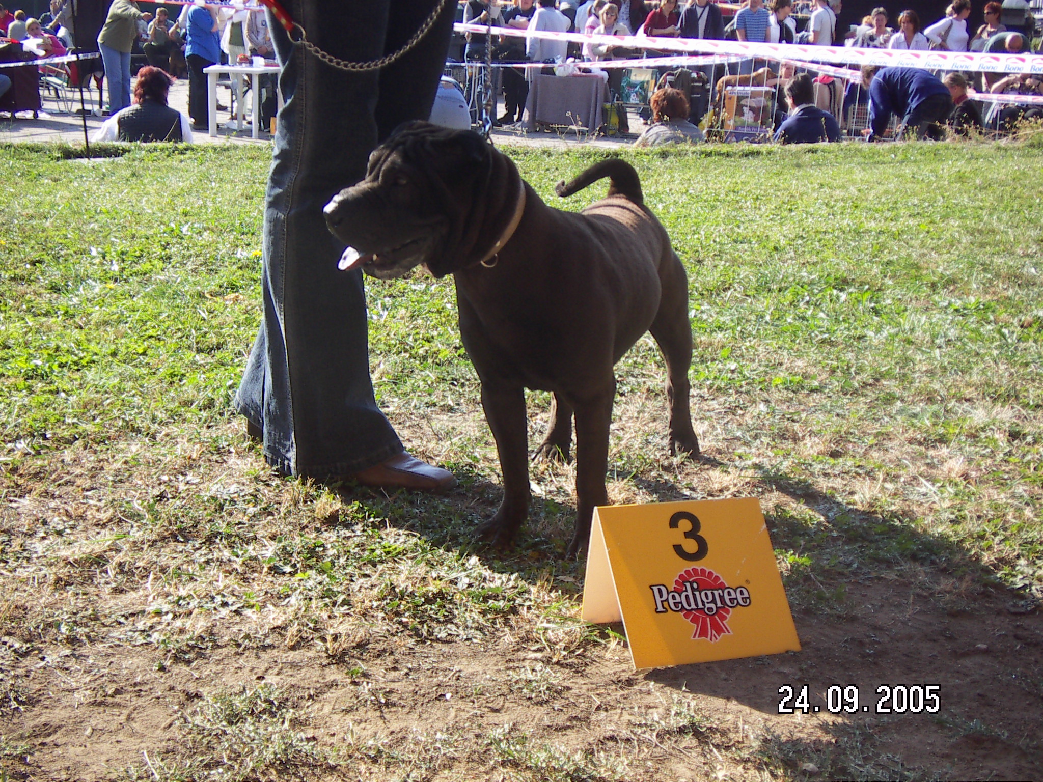 ocenění VD 3, velmi dobrý, třetí v pořadí, NV BRNO 2005