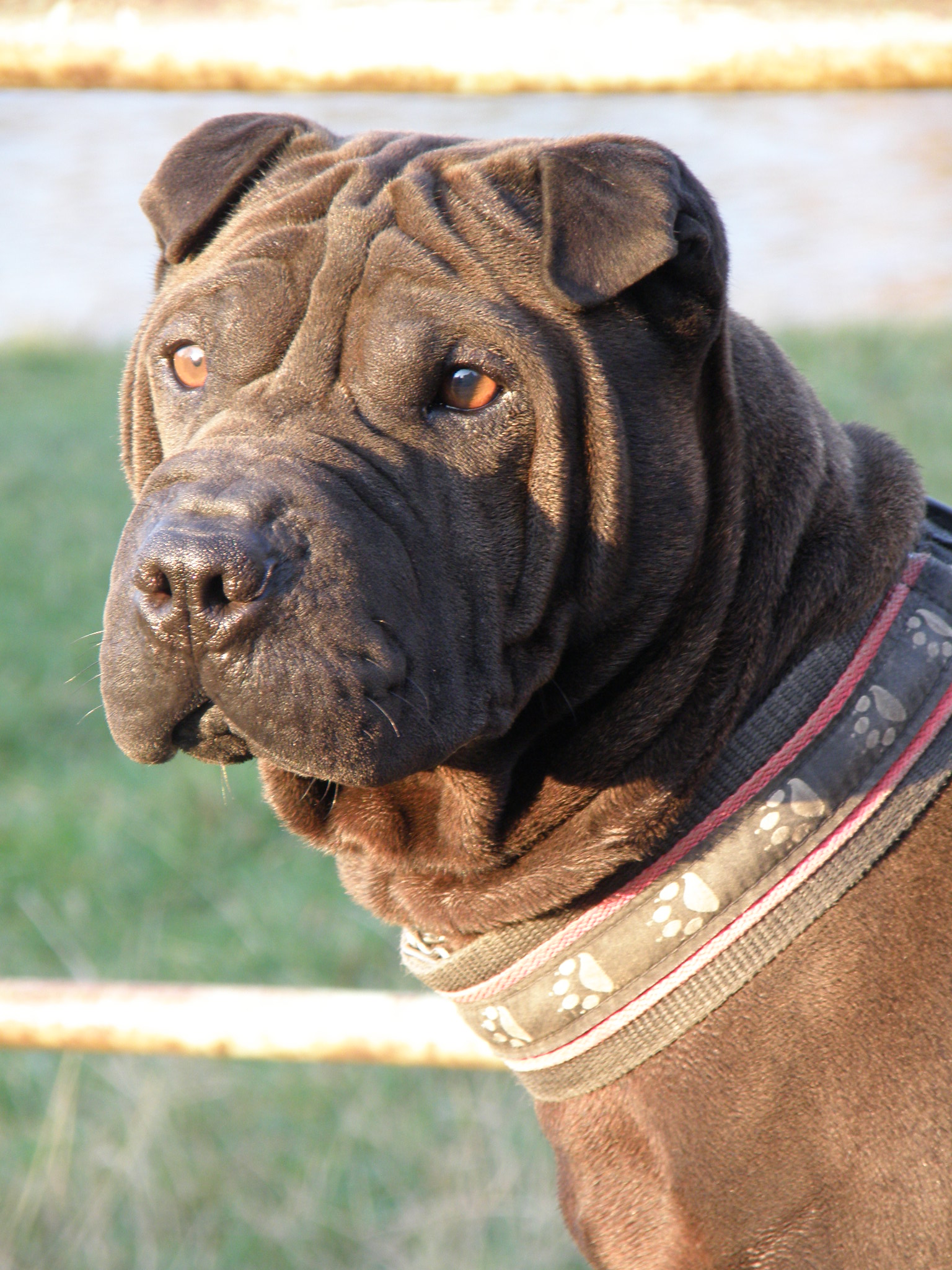 7 Erwin 30-10-2009 071.jpg